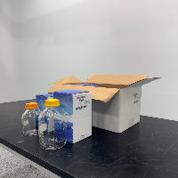 New Waters Glass Storage Bottles Quantity 7 image 1